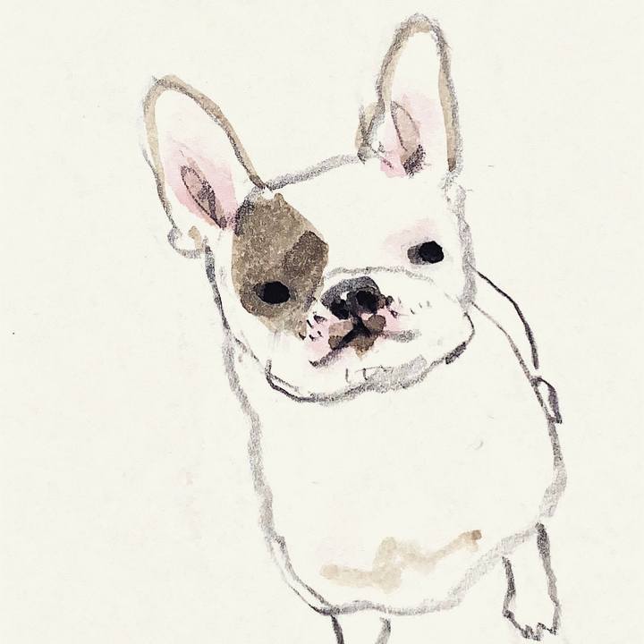 9dff6774 907a 4096 894d f6cde5292620 1620544165505