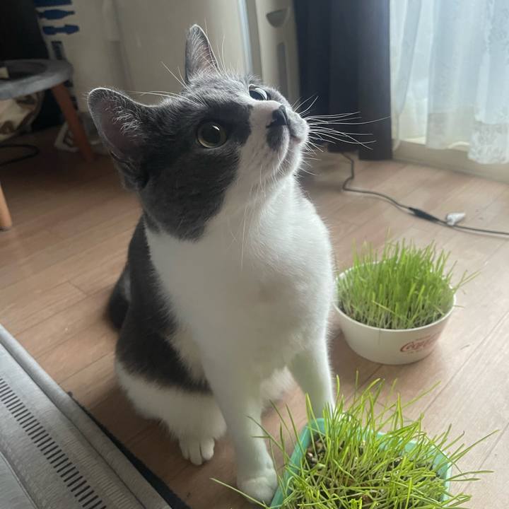 9dff6cb9 7fa8 4fa2 ab28 fcebc8544608 1754342647742