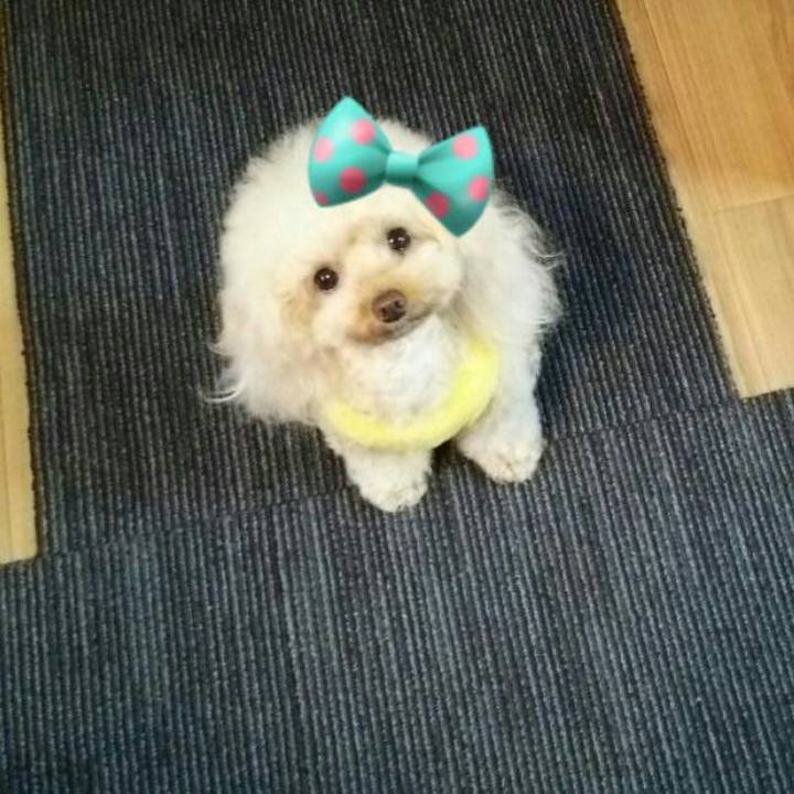 9dff9cb1 02ad 4a2c 994d 934f1b082da1 1544604571618