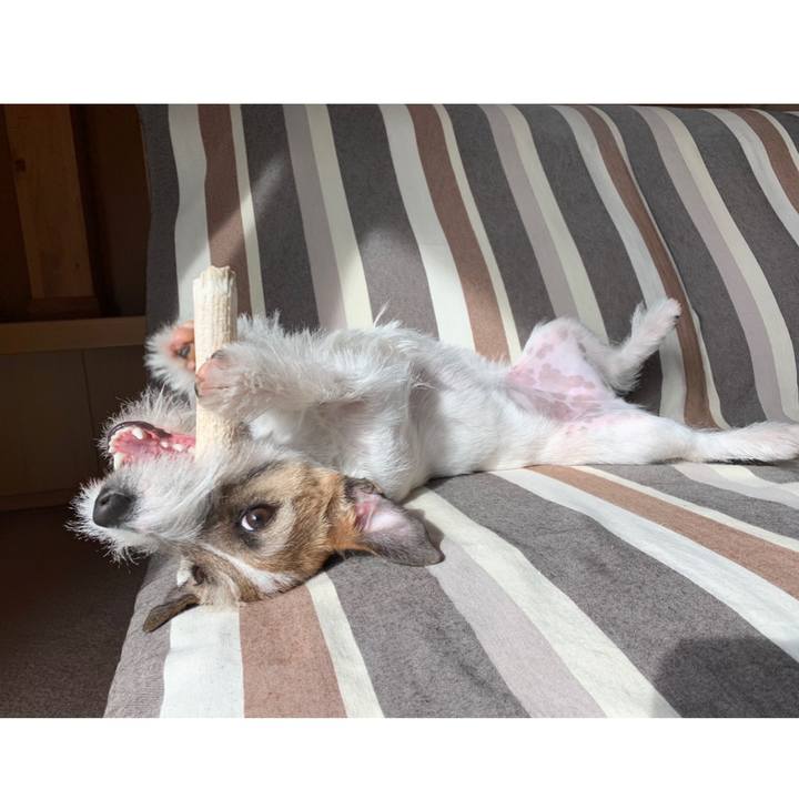 9dffad2b 58de 4b34 b0e2 4697910458fd 1581653986198