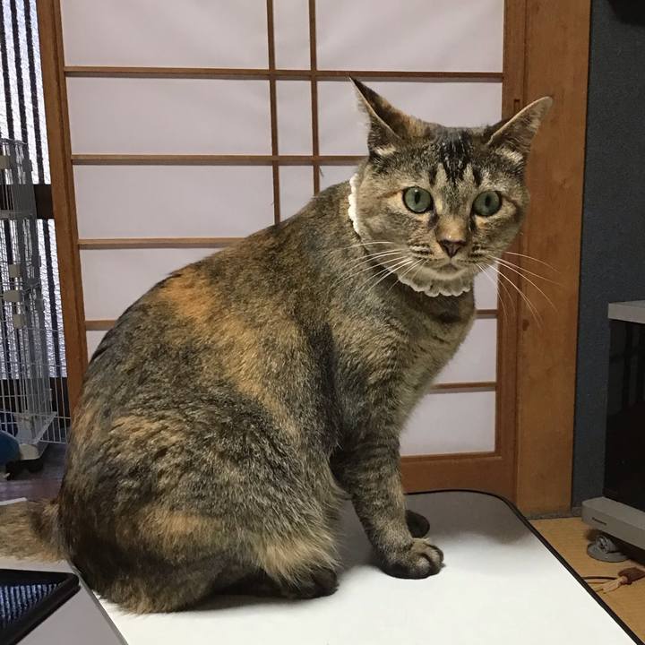 9dffb15b 1d2b 4e90 9b81 c7a49adbd727 1688644724757