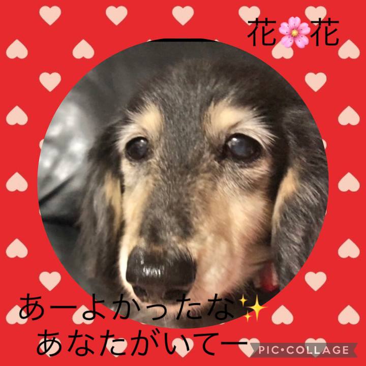 9dffc9ba 33be 4846 9606 4147a09f4111 1628944373778