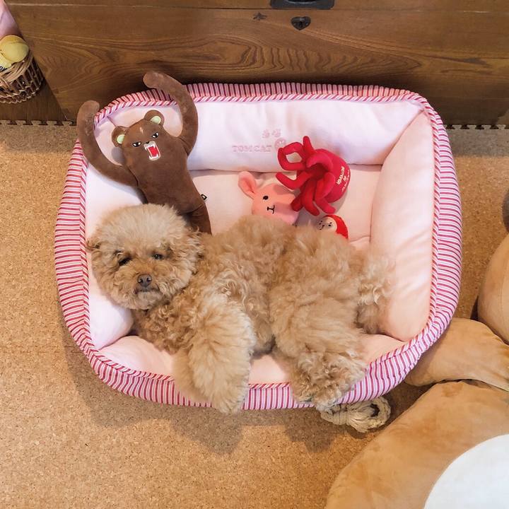 9dffca9b fa30 40bd 86e7 c60a216fff76 1510110142308