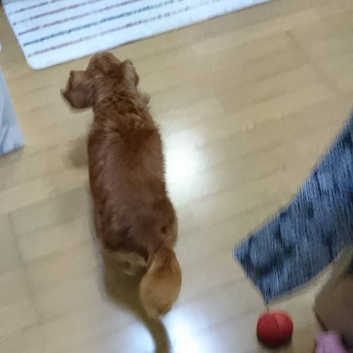 9dfff195 b5a2 4e64 ac8a c0e6e6012cd8 1510558665549