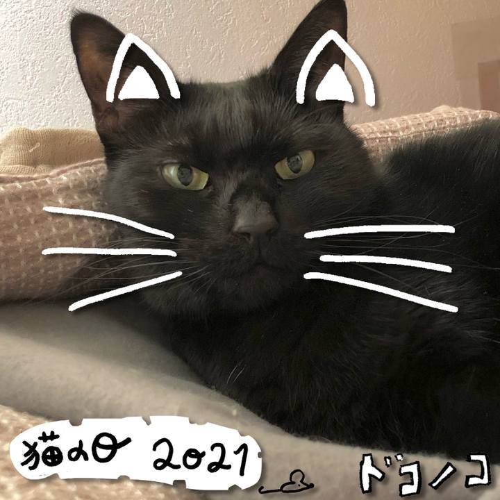 9e001562 73e7 4f48 94c8 3c63ac6a09cb 1613997502347