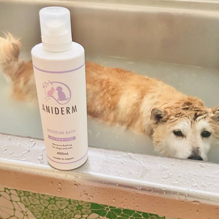 9e005aef 8f89 4be0 82be 4b09737e09fd 1742378128105