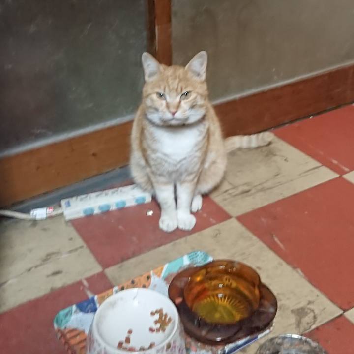 9e005b27 204b 4763 a7f6 a7f00c0242fc 1585907014692