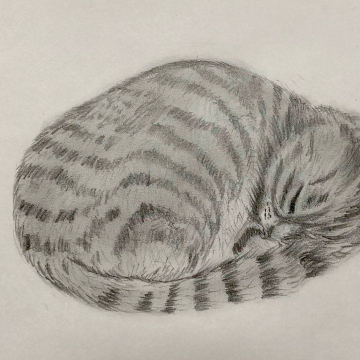 9e006873 22c3 4a42 8d23 c5881cfa7b19 1630541300512