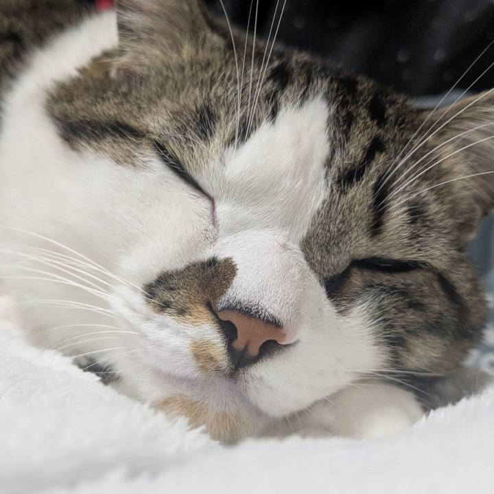 9e009630 c2e5 4d9b bd10 1ffd8756e71a 1761888344451