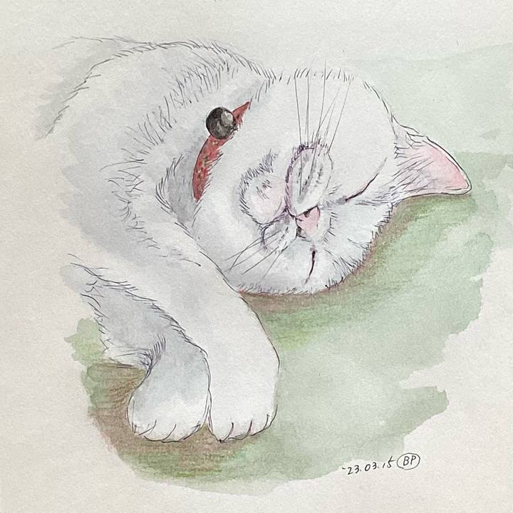 9e00a41c 7f53 4dc4 9dd2 d889a4fa4434 1678875229536