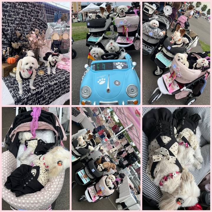 9e00b8f8 0d72 44b4 8670 b32c1cbb6da4 1727515176323