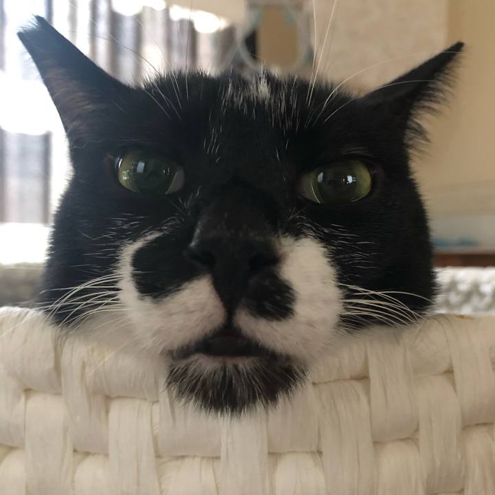 9e00c054 786f 43c7 9a3b 01cf00bf4f5a 1561773906571