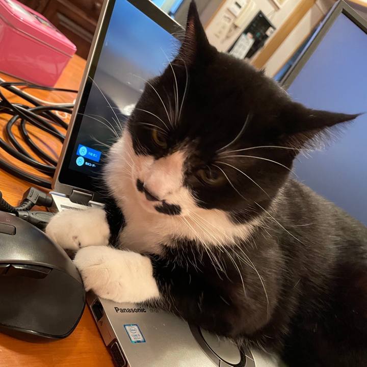 9e00cf10 b795 4528 a44d 7eab5d650422 1665661776710