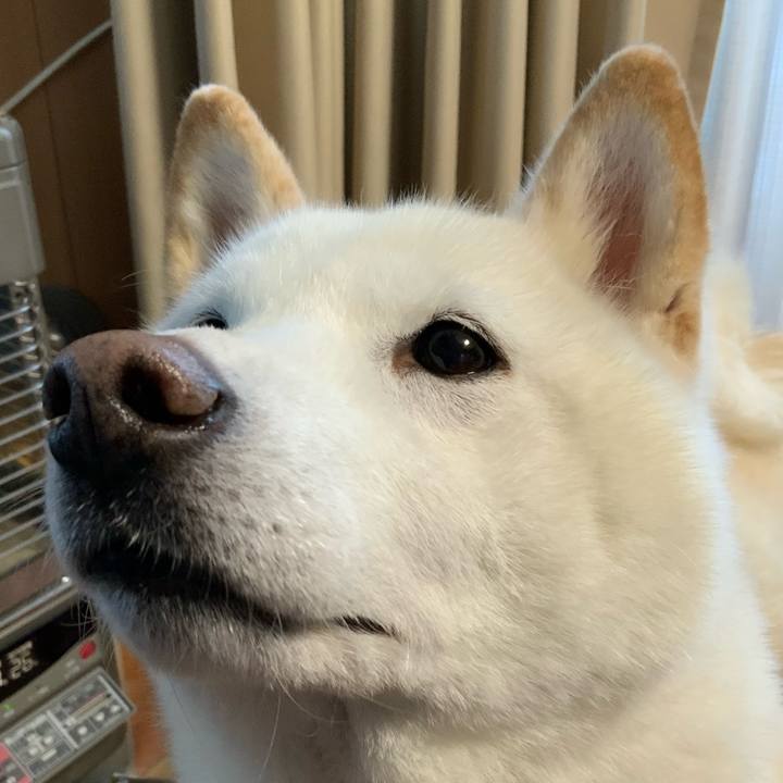 9e00da85 53b6 41f9 ac80 7321869712a5 1642919519944