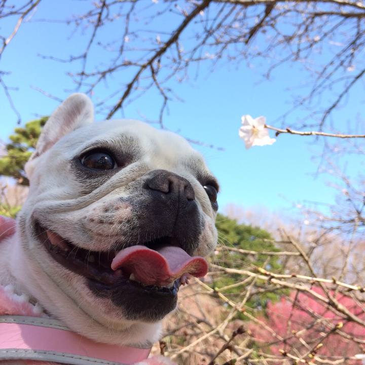 9e00ea23 f3ef 48ed bab1 c2d960b5f186 1521279496263