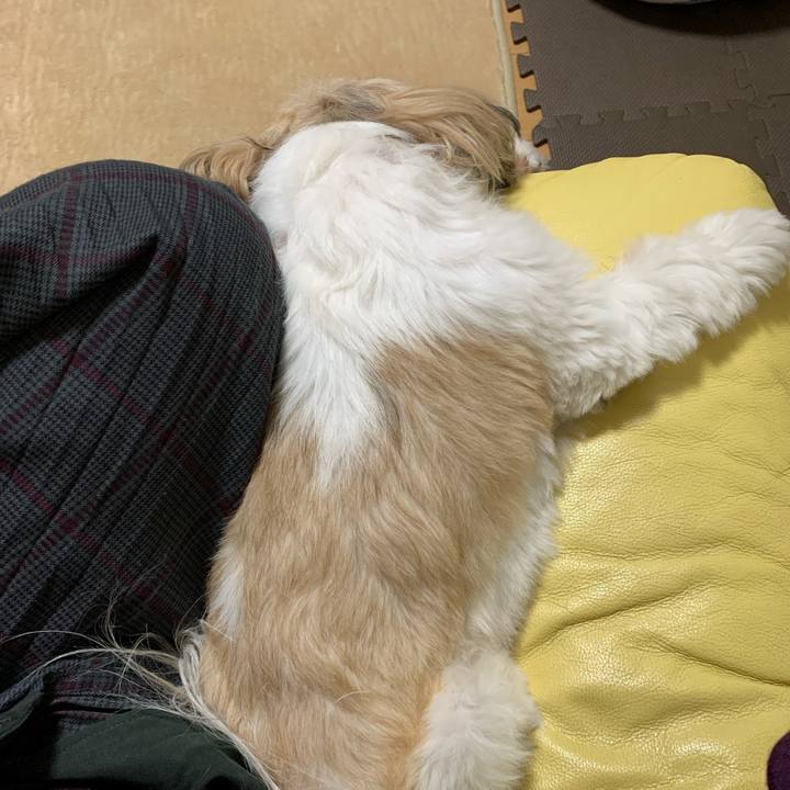 9e010593 eba0 4d72 818c a1be7f1e19eb 1604659556925