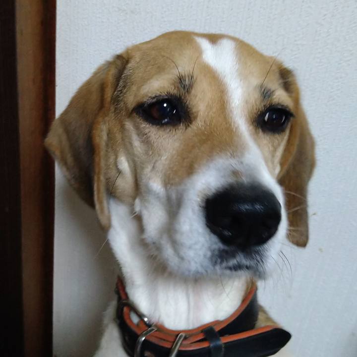 9e012457 15d3 462f b611 ff39bc31b65e 1632826838615