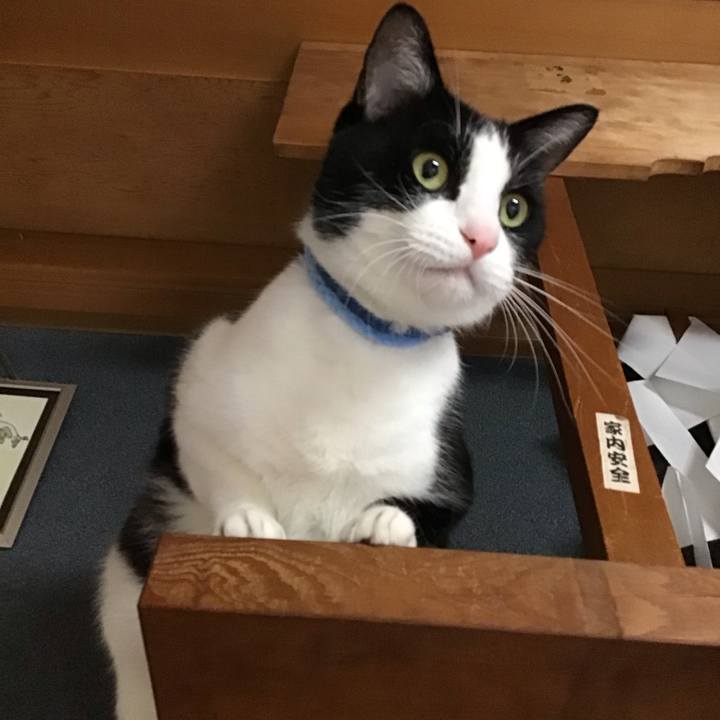 9e013f7d 1b7f 40ba 8998 d469792e383f 1731667628949