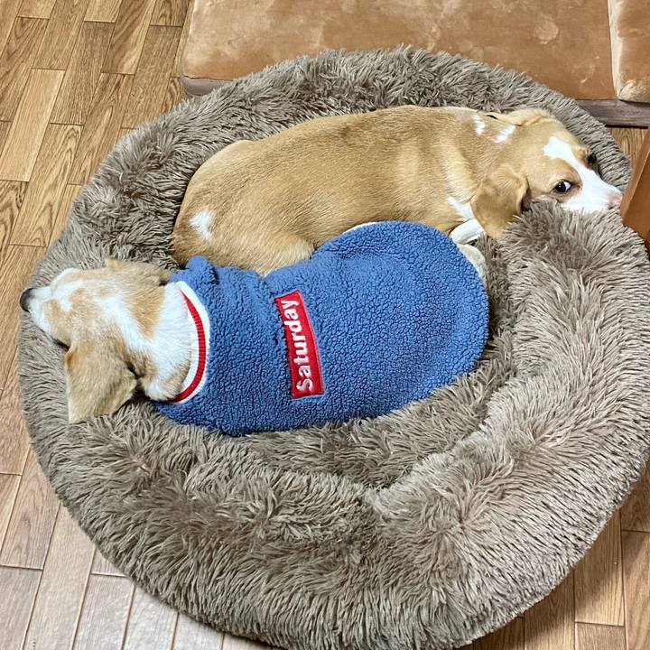 9e014424 9617 4524 8864 af321bc23921 1612512008956