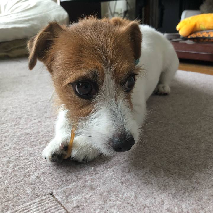 9e015454 c5e1 4621 ac73 66b95bcf5e03 1562945702888