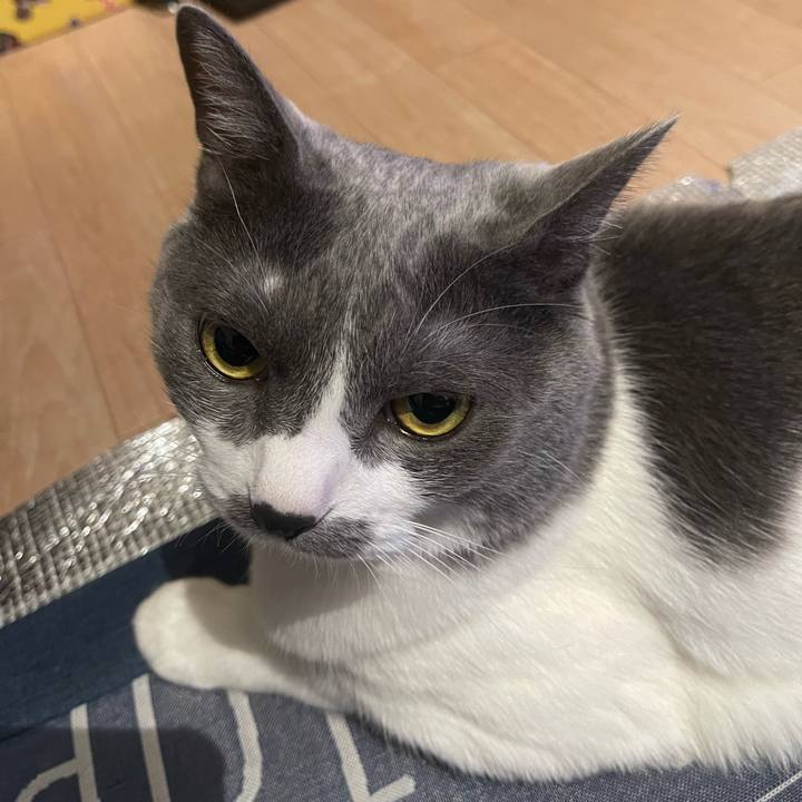 9e017da6 644c 4f23 bbdc 646c493898e6 1722599021378