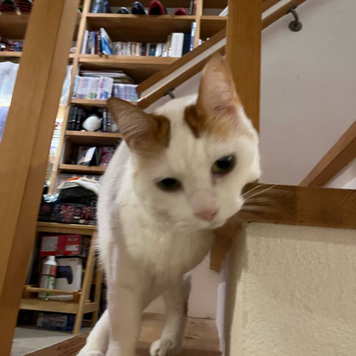 9e019787 96df 4938 9a8e 83e1b371096d 1764584963517