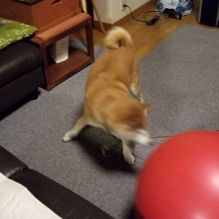 9e01a1f0 2fc3 4e58 bd0a 311ebc0d1e47 1597488566837