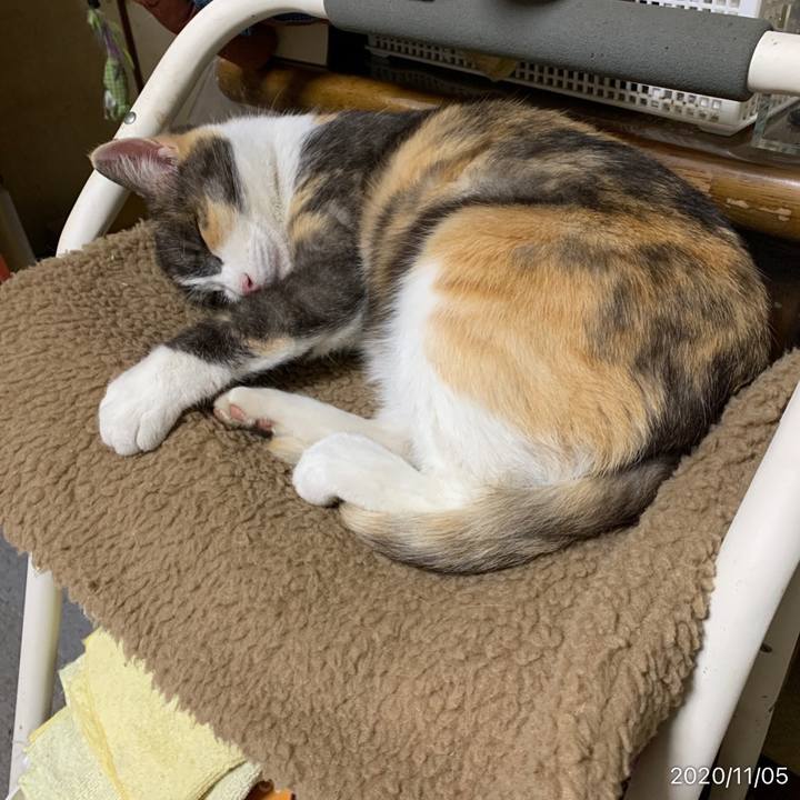 9e01b026 37b2 4a28 96c0 8ad59d7e17f1 1604585802761