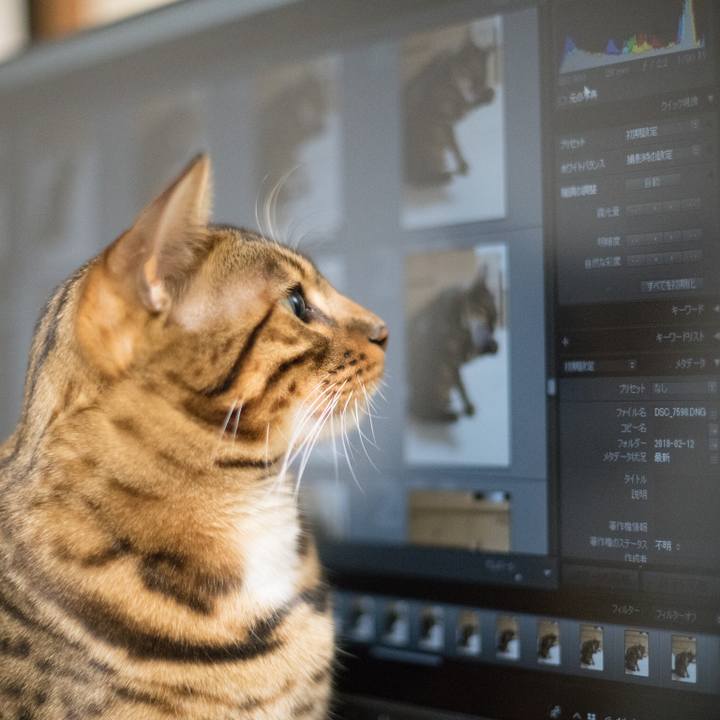 9e01bb6b 01a0 4d1f 9704 285e879f0ea2 1518437833085