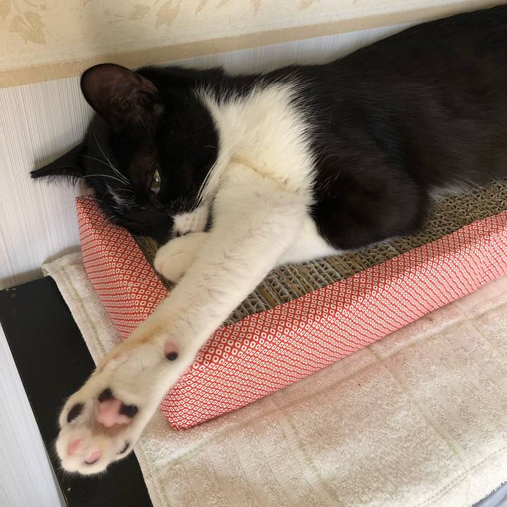 9e01c8f7 823f 43c9 9cbc 72d243d751b3 1532315181885