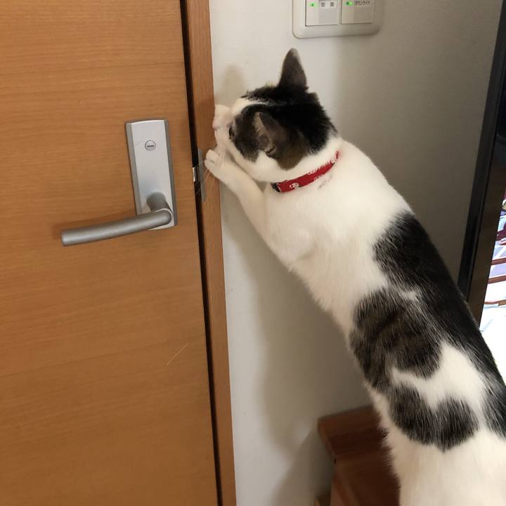 9e01e76c 20e6 471a abe4 9e8f5aac7ddb 1605870107864