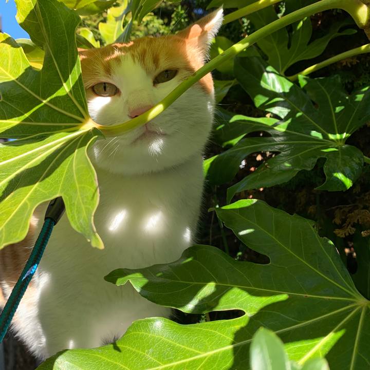 9e021be7 e306 48fb 944d cee9eab052ae 1578130072810