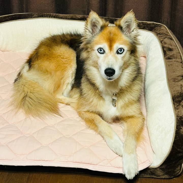 9e024324 3e25 4437 b963 4bc0991283d1 1761607543178