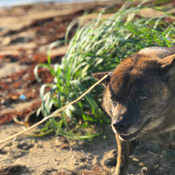 9e027082 d3c0 48a6 badf b7689009e485 1561718871976