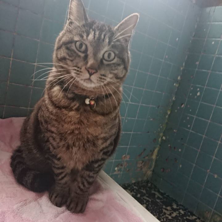 9e02c67a 1a95 4cf4 a3cd f4950015f95e 1649925715354