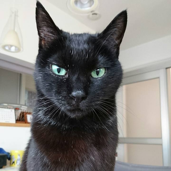 9e02e552 58f7 4571 9b05 3863ac07578b 1510443388767