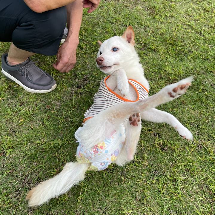 9e030889 7221 4a7a b276 befab9362e1f 1664884699827