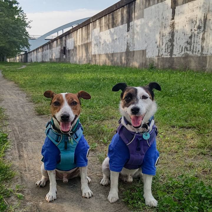 9e037869 56db 4e18 b8d5 5405d43c29d7 1687092468335