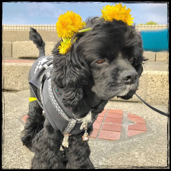 9e03b717 e552 485f 86b5 cfdd53f089b7 1523276893464