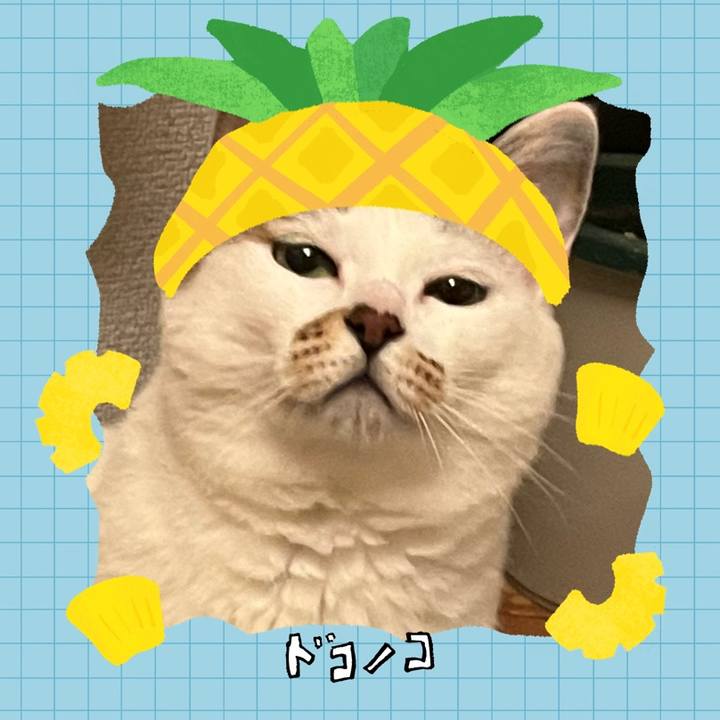 9e03e143 329e 475e 8991 fad6e28ba51d 1783516066642