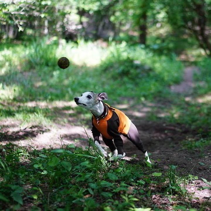 9e0422e6 14f0 448c b3fb b341807cdbe4 1534998052457