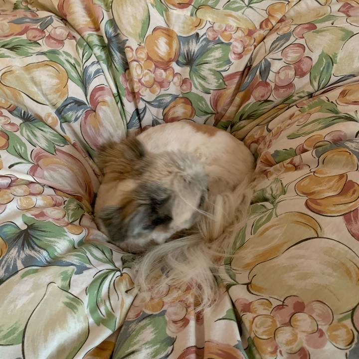 9e042520 6b83 4aa2 8e77 09eaeb791594 1576900854070