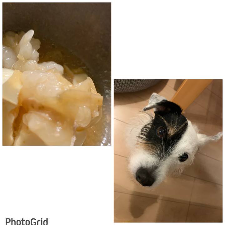 9e04423f bc35 40d9 97ef 89c4d6bb6ff8 1673088544895