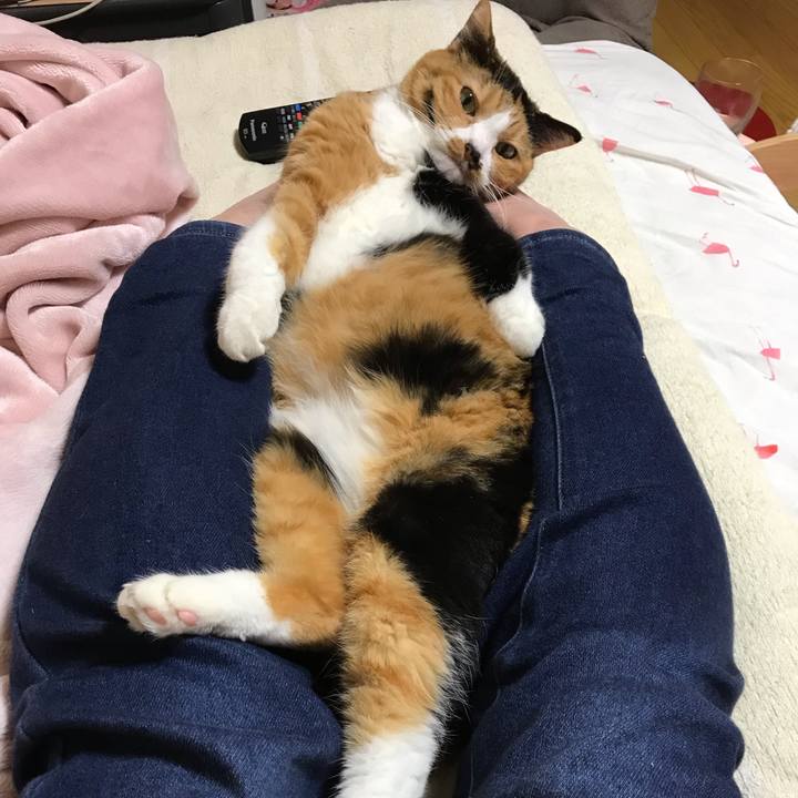 9e044cca a100 4524 9c4c 615decc28a4a 1569411239561