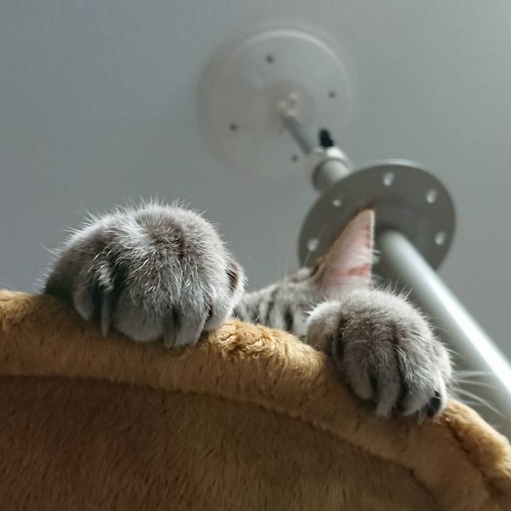 9e047943 e11e 438c 93b3 5023ccebc9de 1514206100914