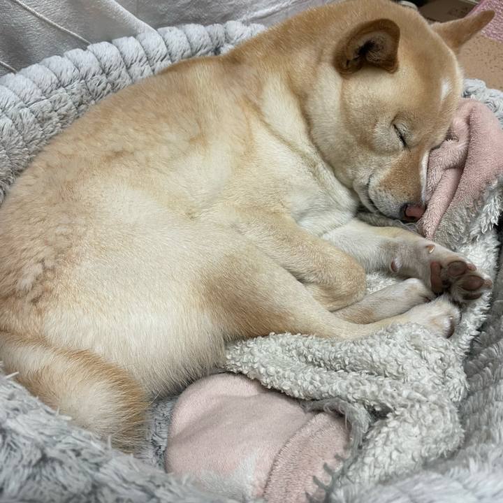 9e049570 2d07 4de0 b363 1862c71155e6 1682944594895