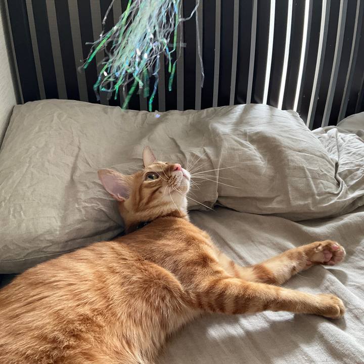 9e04c8b7 9979 4717 a656 af28f3115a9c 1632946975403