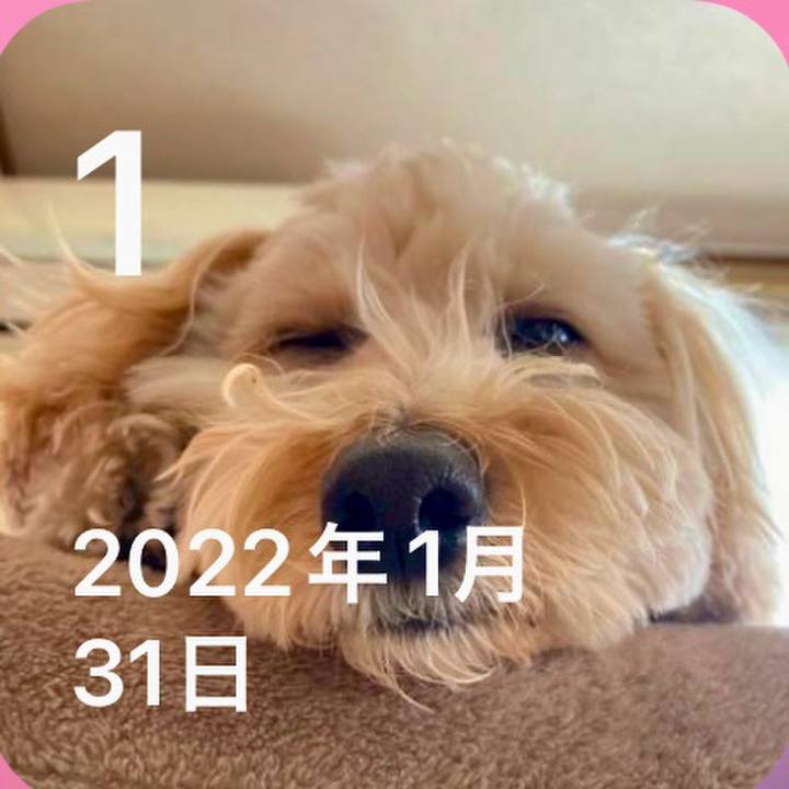 9e04caee baa2 486a b405 82a54e317e9b 1738400551150