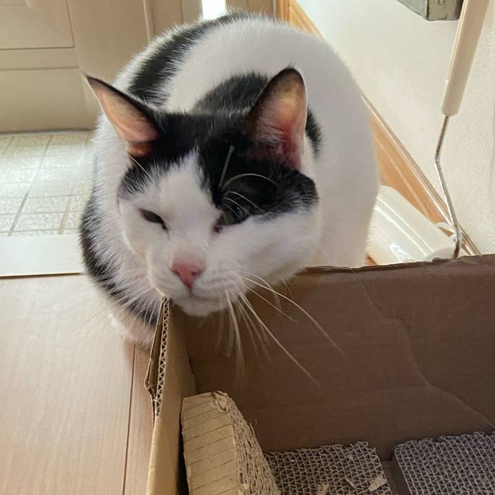 9e04cb92 57a5 4bef b4b7 35f1c39c0842 1583729223870