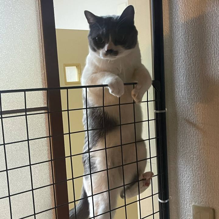 9e04d45e aa4c 4653 acf3 f09d6b5e220f 1624615251950